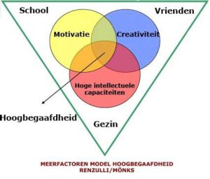 Twents Centrum voor Hoogbegaafden Oldenzaal heeft als uitgangspunt dat jij het als hoogbegaafde voor het zeggen hebt.