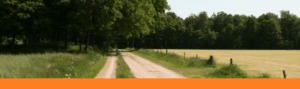 Welkom bij Twents Centrum voor Hoogbegaafden Oldenzaal.Ruim 25 jaar een begrip in Twente. T 0541531348 M info@tcvho.nl